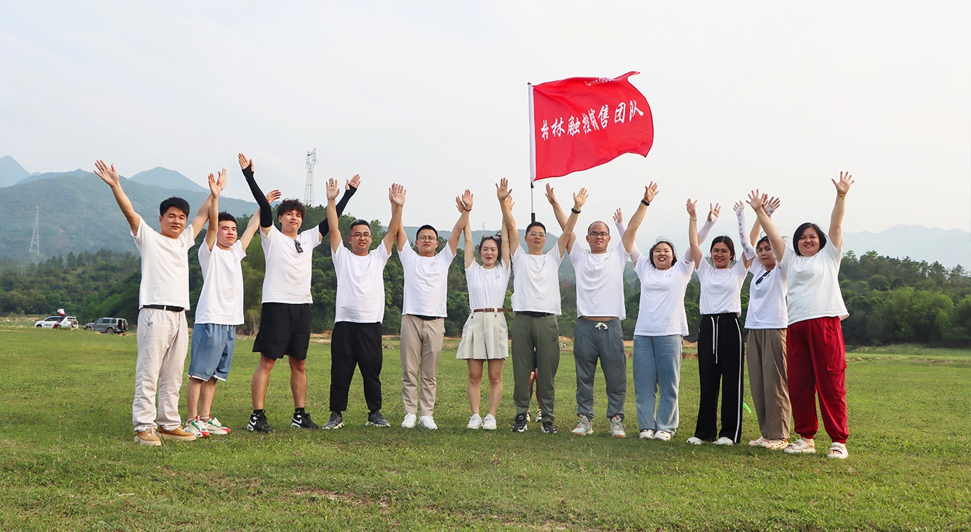 2024 GreenTouch Company - Desarrollo de Equipos - Equipo de Ventas