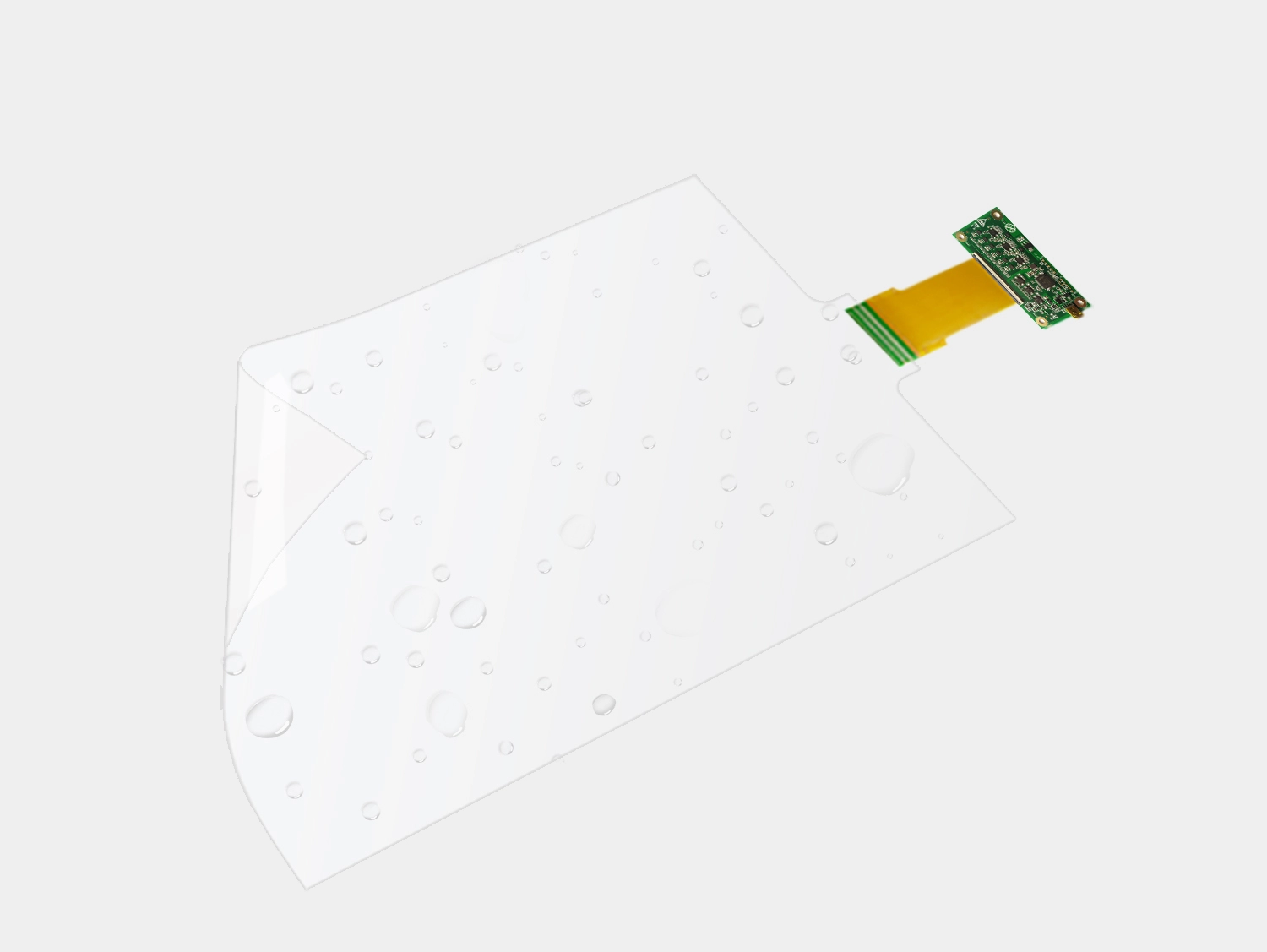  Funci&oacute;n y estructura 