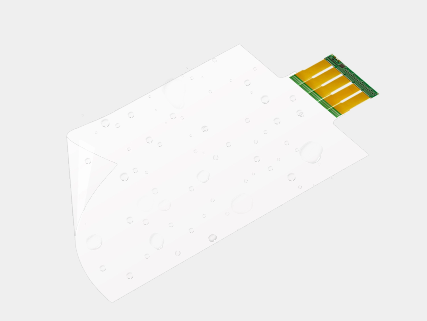  Funci&oacute;n y estructura 